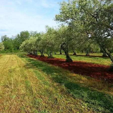 Apartment In Croatia Near The Adriatic Coast * Grižane